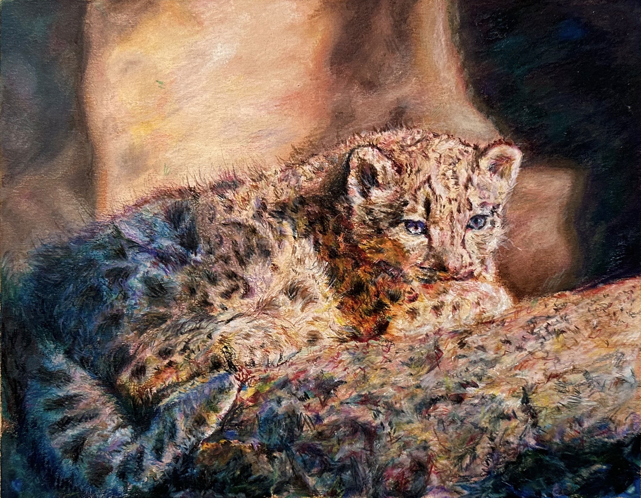 Snow leopard illustration